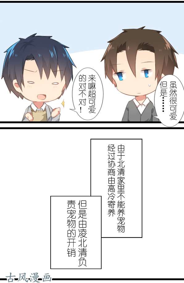 百慕大11 来养仓鼠吧