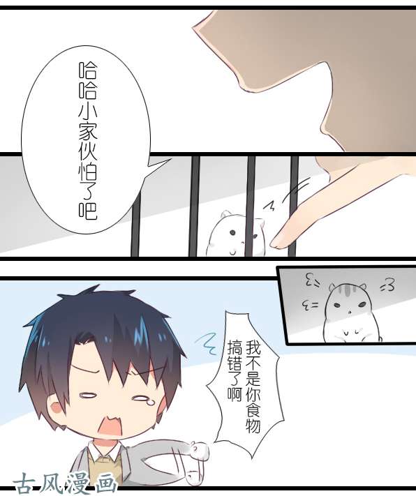 百慕大11 来养仓鼠吧