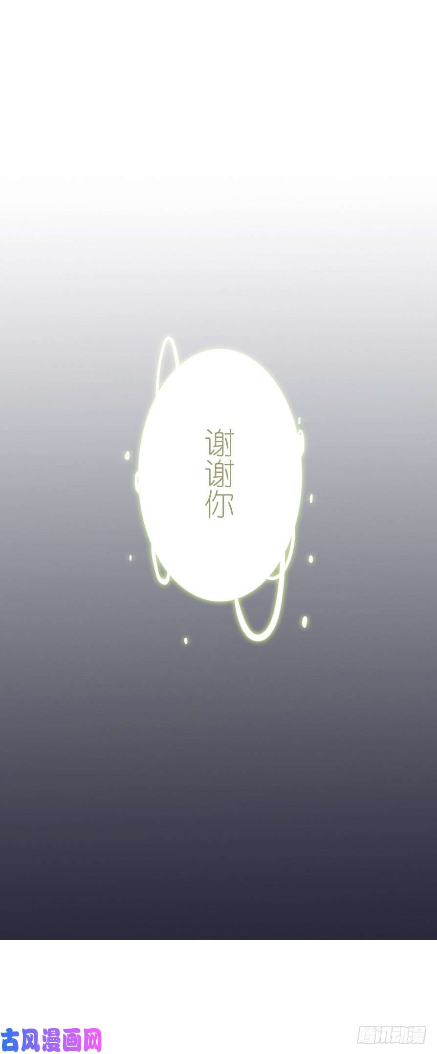 百慕大46 万物不及你