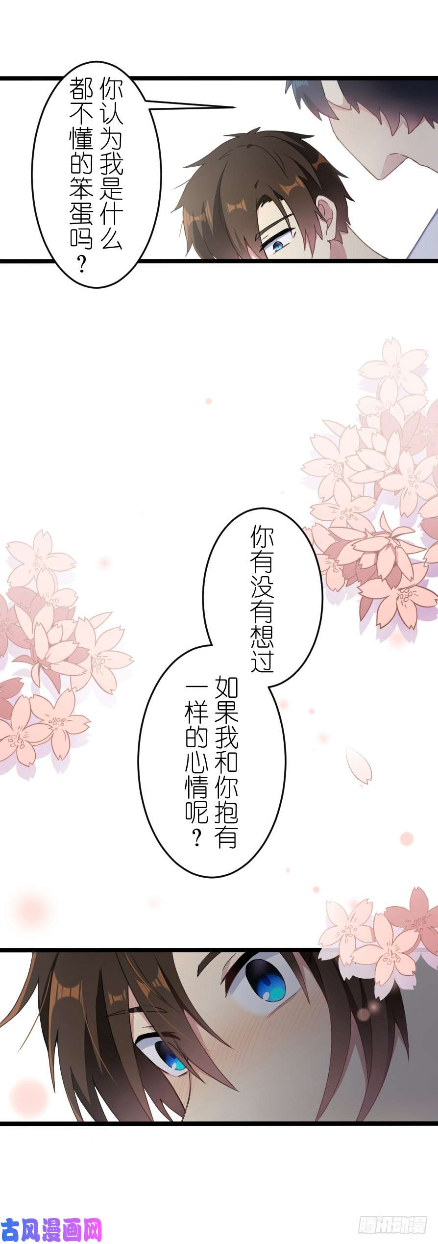 百慕大47 你愿意吗？