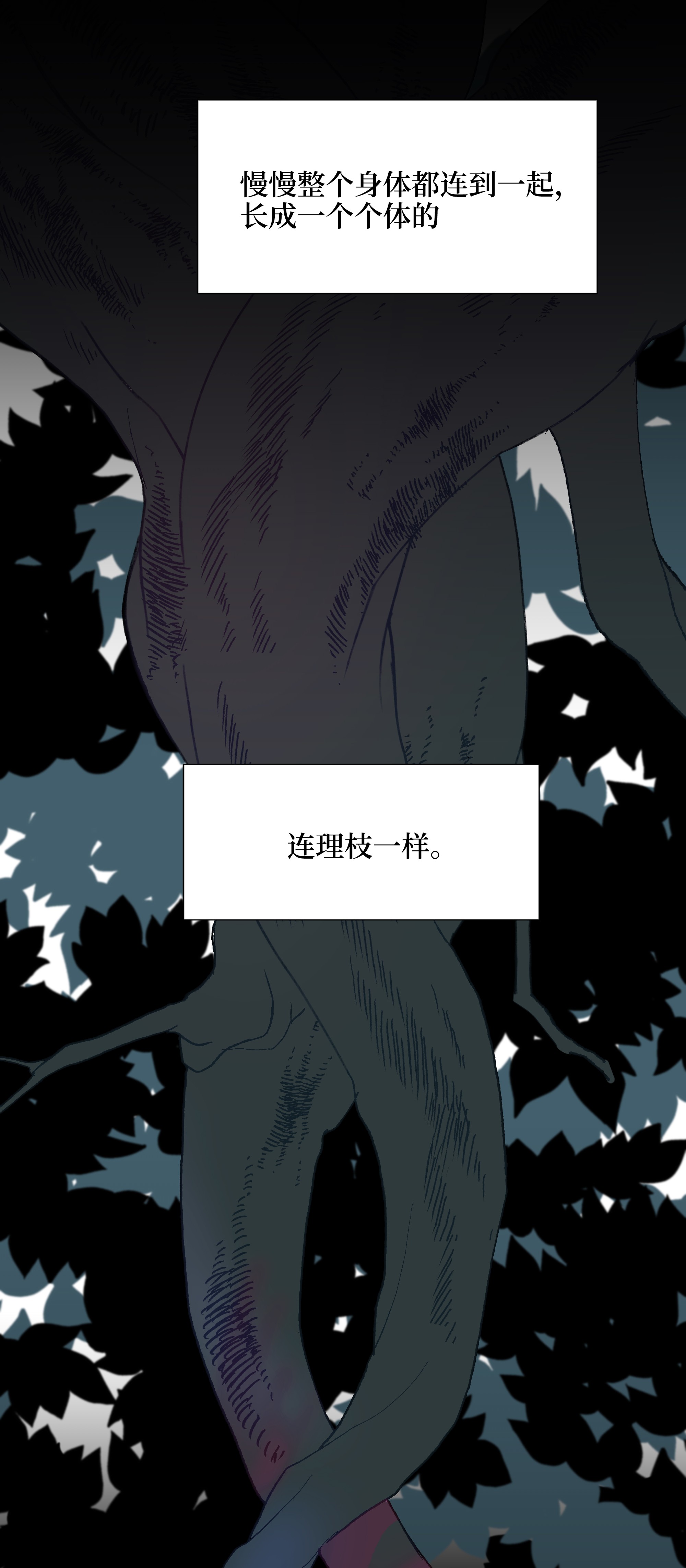 花儿终会绽放19 新疗法（1）