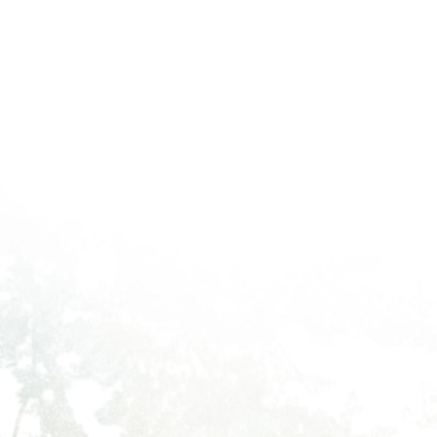 花儿终会绽放04 帮助