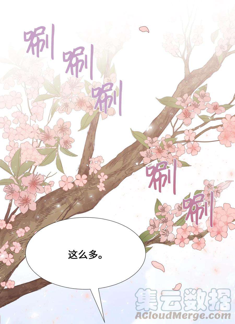 花儿终会绽放07 缘由