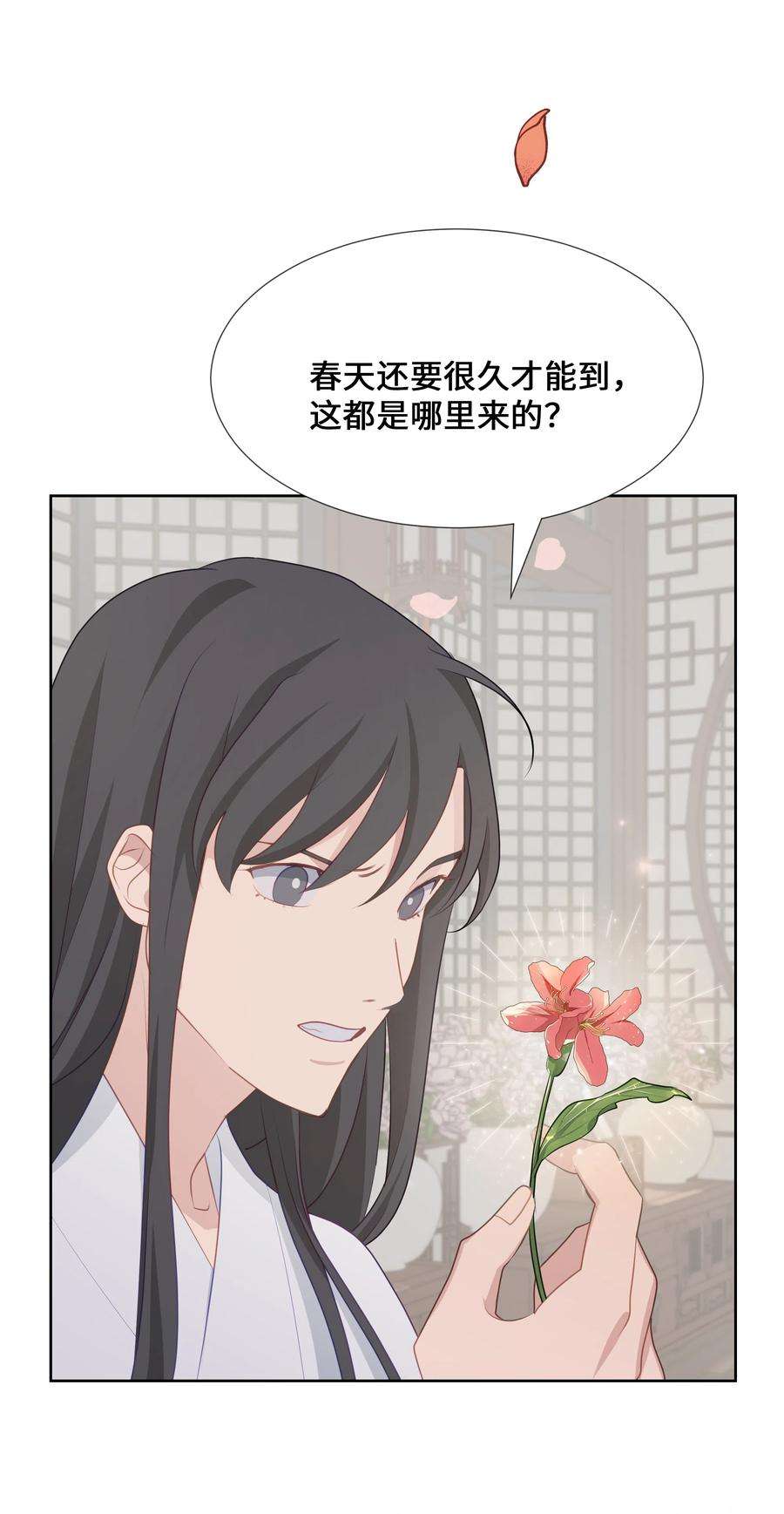 花儿终会绽放07 缘由