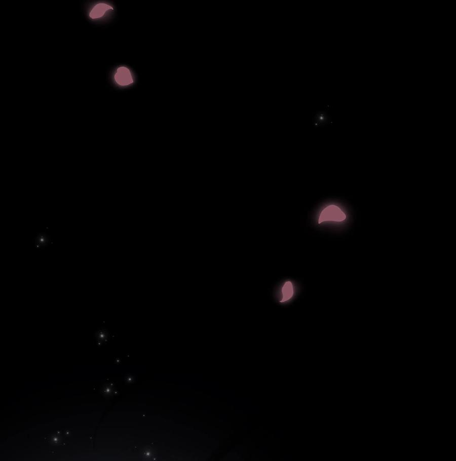 花儿终会绽放08 年纪
