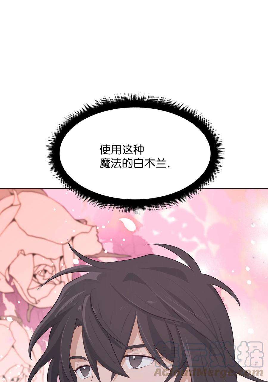 花儿终会绽放08 年纪