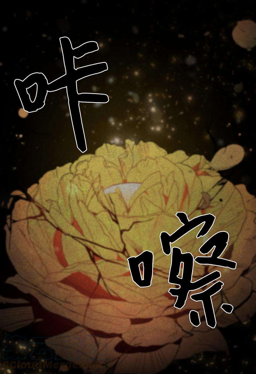 花儿终会绽放10 察看