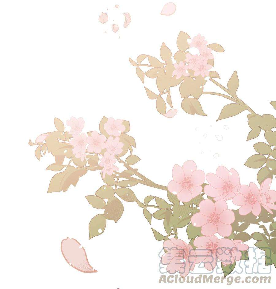 花儿终会绽放13 礼物（2）