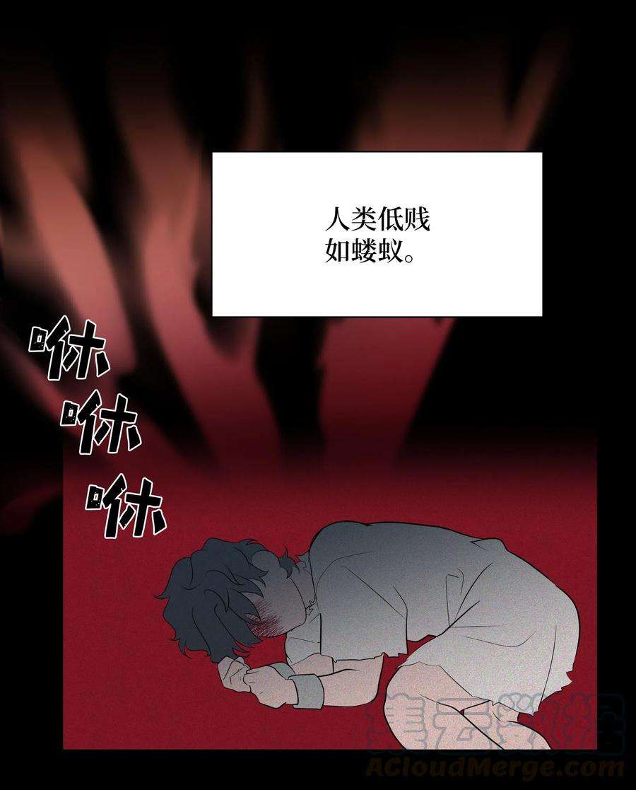 花儿终会绽放33 话归