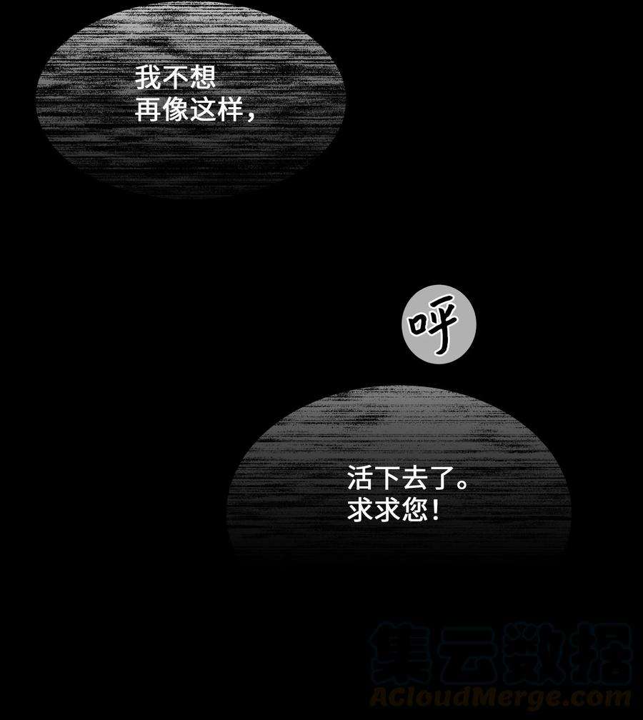 花儿终会绽放39 找到