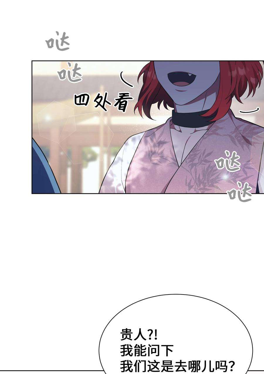 花儿终会绽放85 解惑