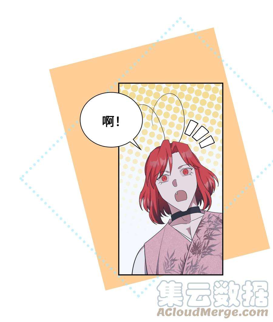 花儿终会绽放85 解惑