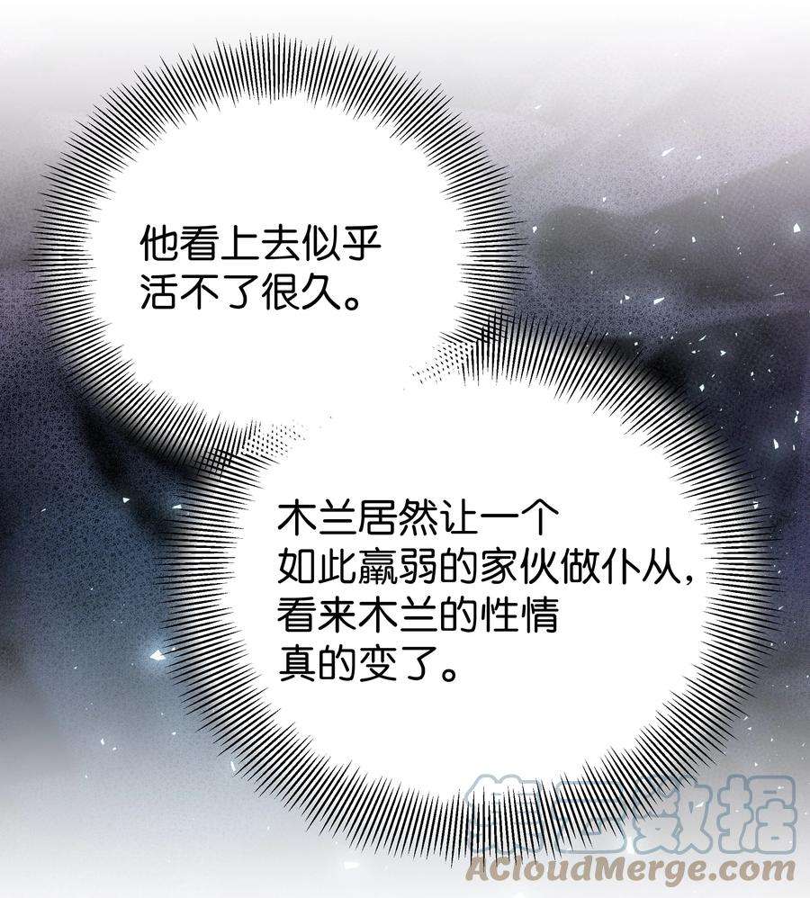 花儿终会绽放85 解惑