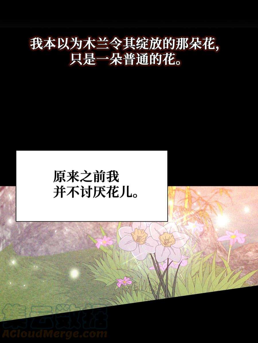 花儿终会绽放90 根源