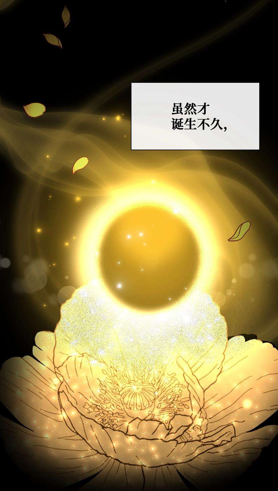 花儿终会绽放91 记忆