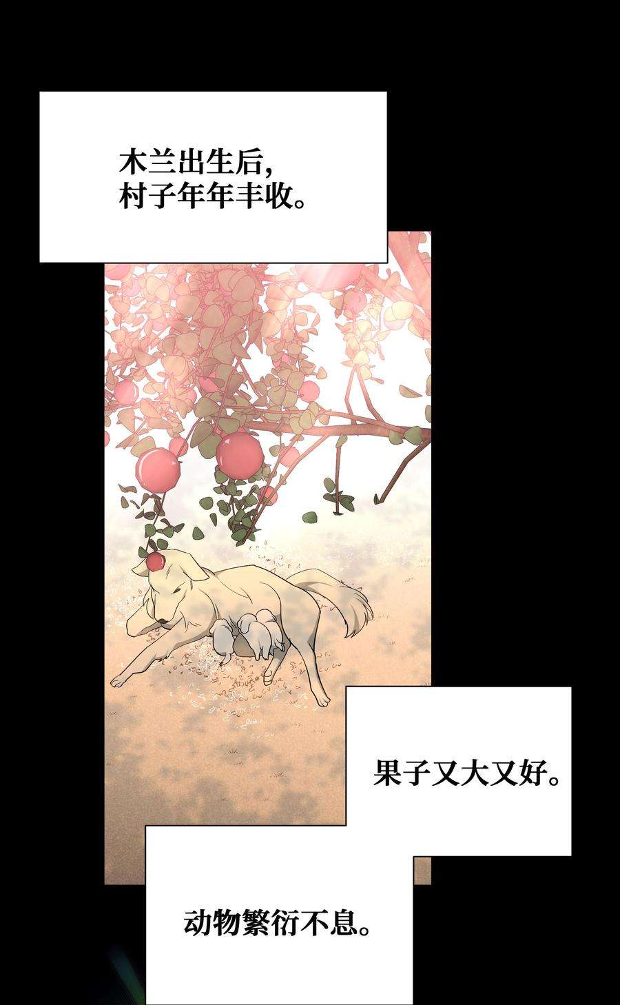 花儿终会绽放91 记忆