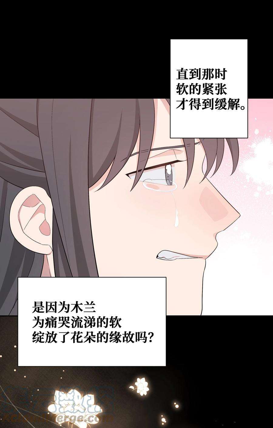 花儿终会绽放91 记忆