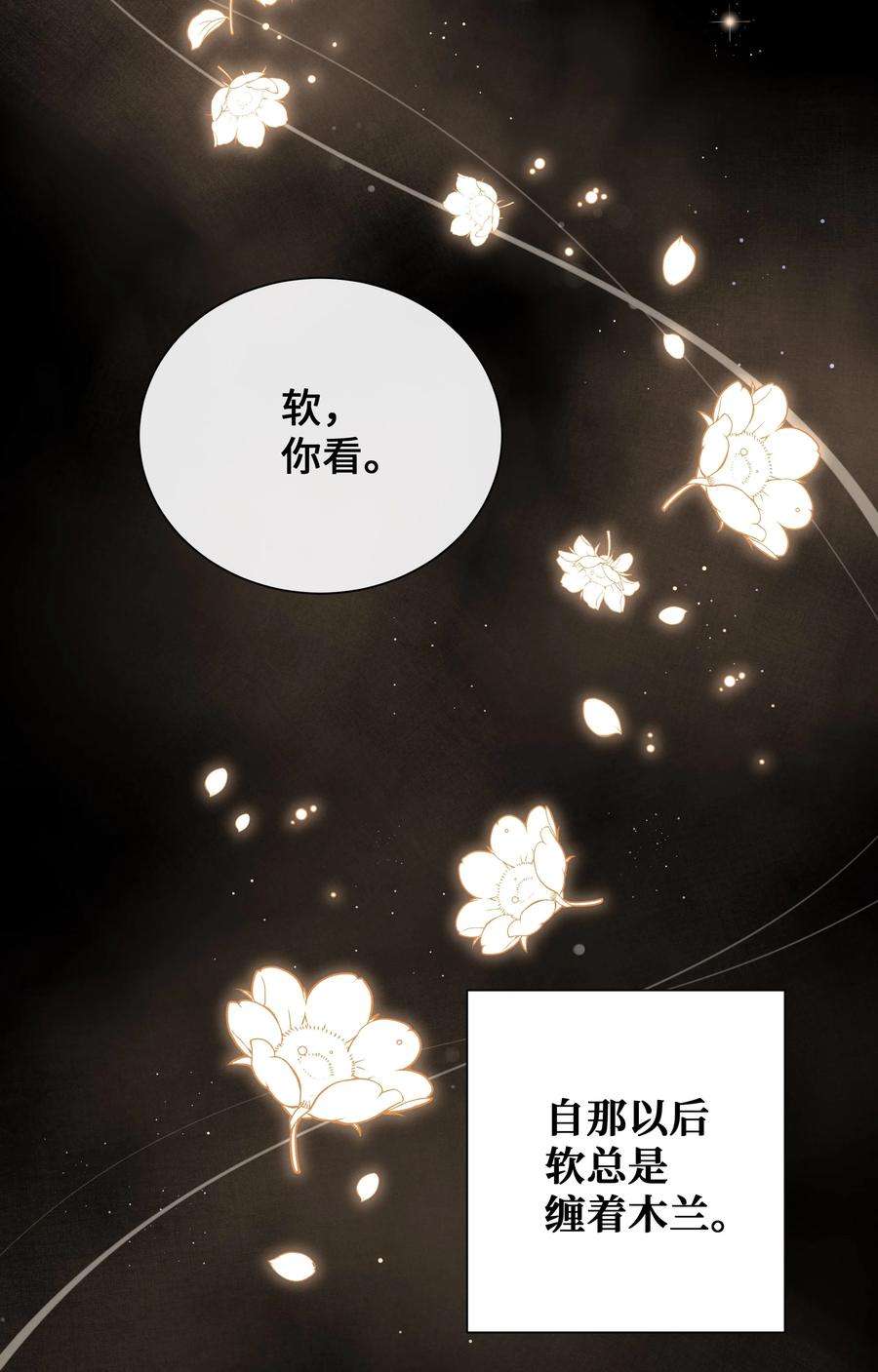 花儿终会绽放91 记忆