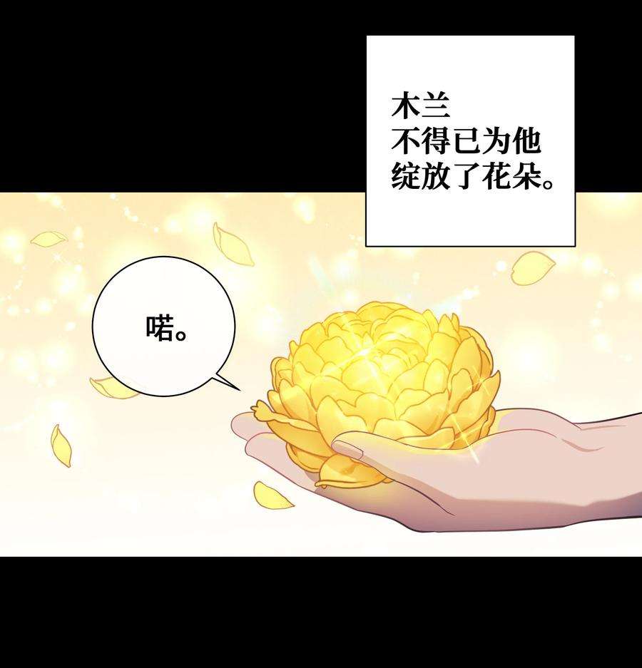 花儿终会绽放91 记忆