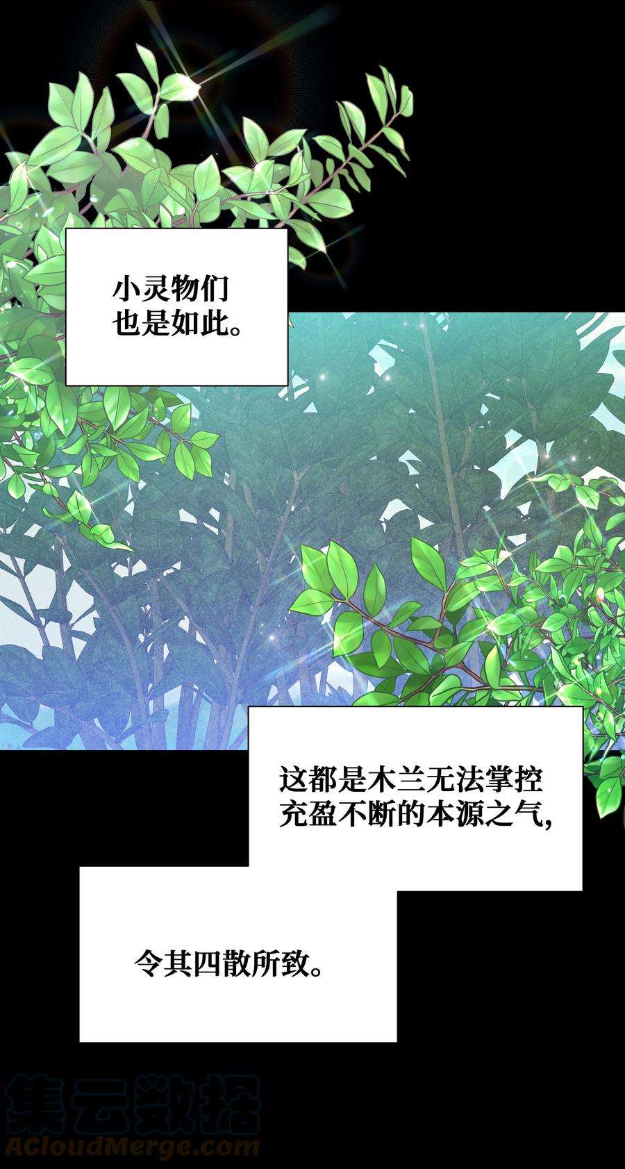 花儿终会绽放91 记忆