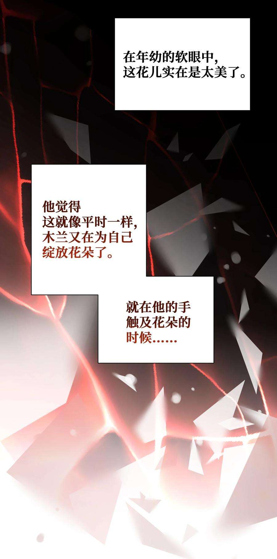 花儿终会绽放91 记忆
