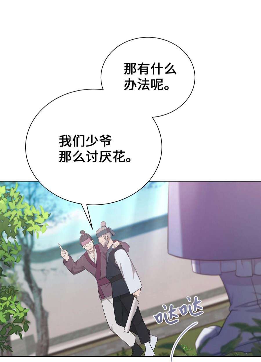 花儿终会绽放93 种花