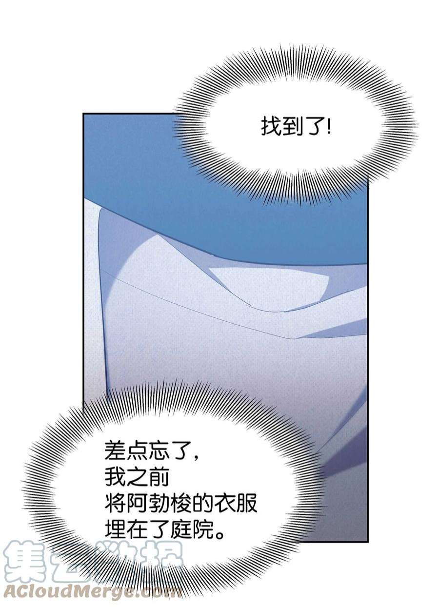 花儿终会绽放93 种花