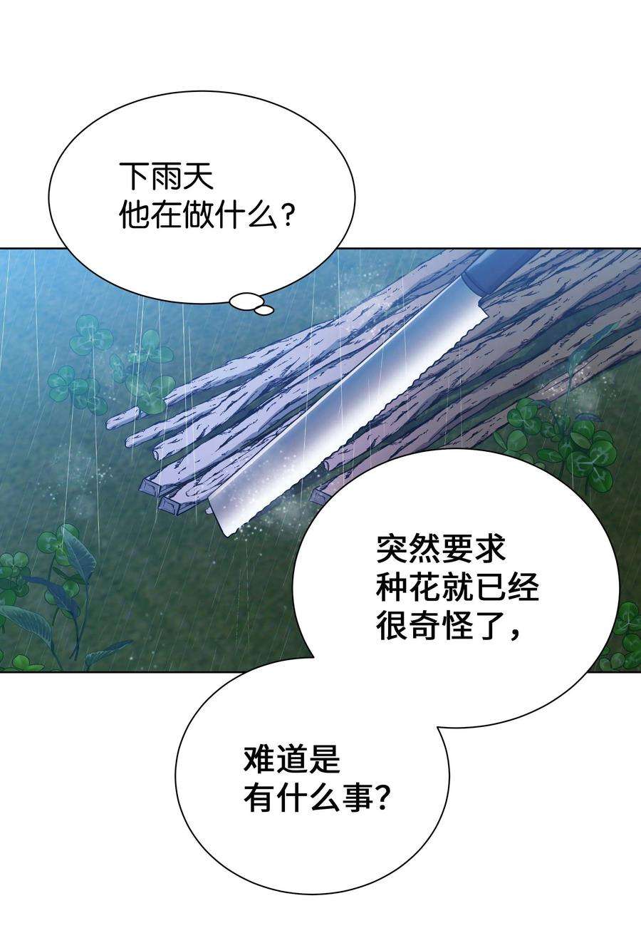花儿终会绽放93 种花