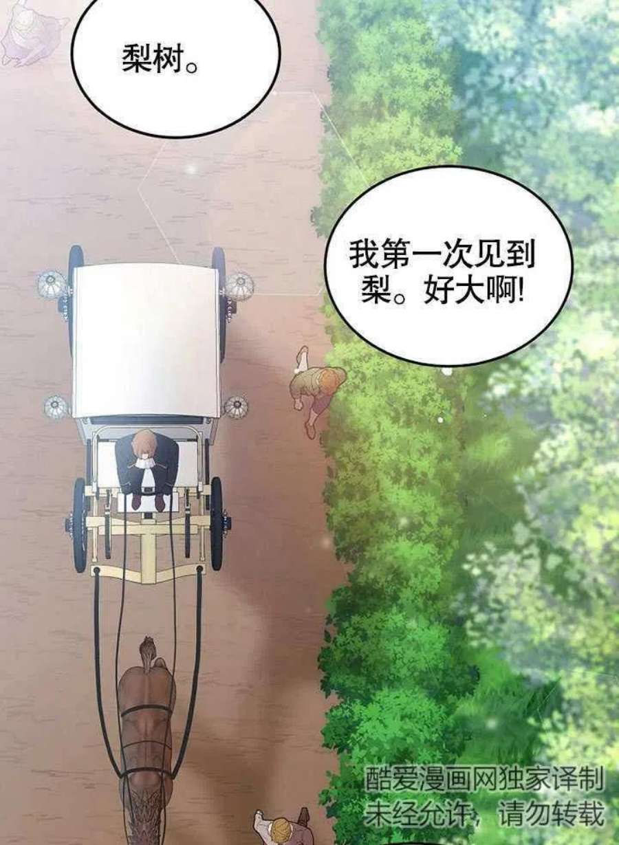 六月的桃子16话