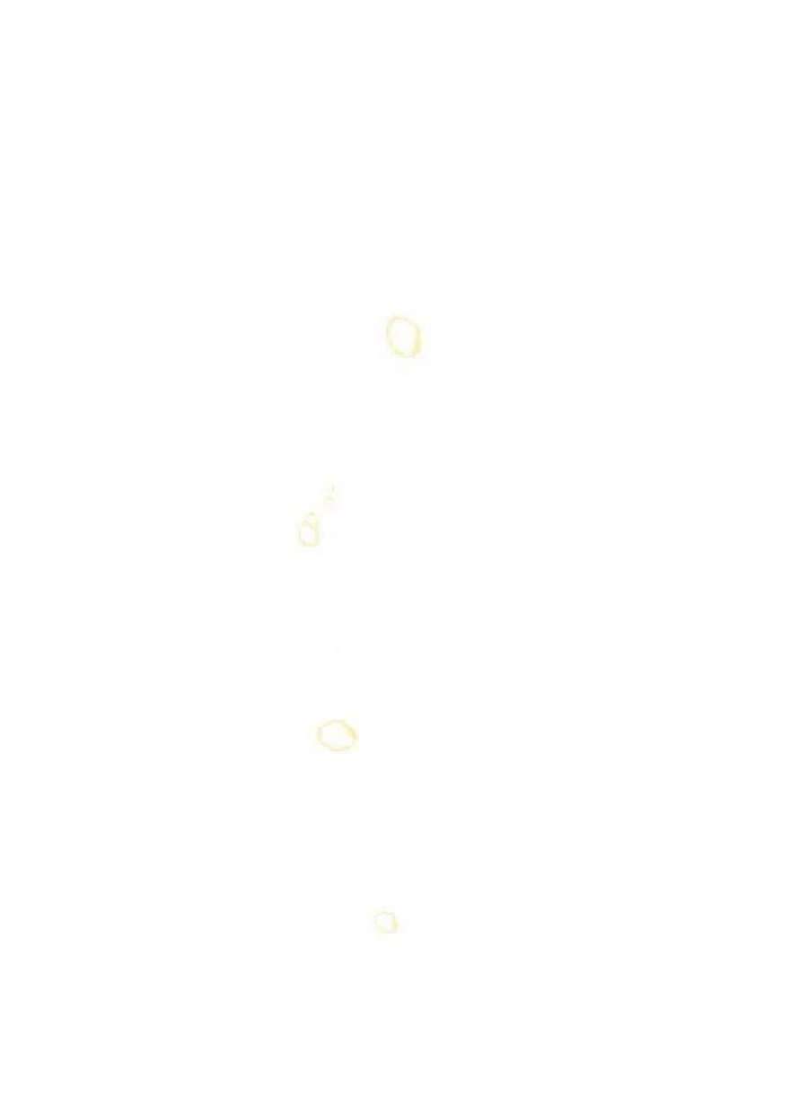 六月的桃子18话