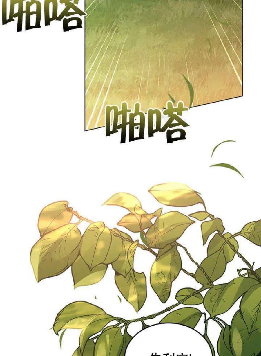 六月的桃子26话