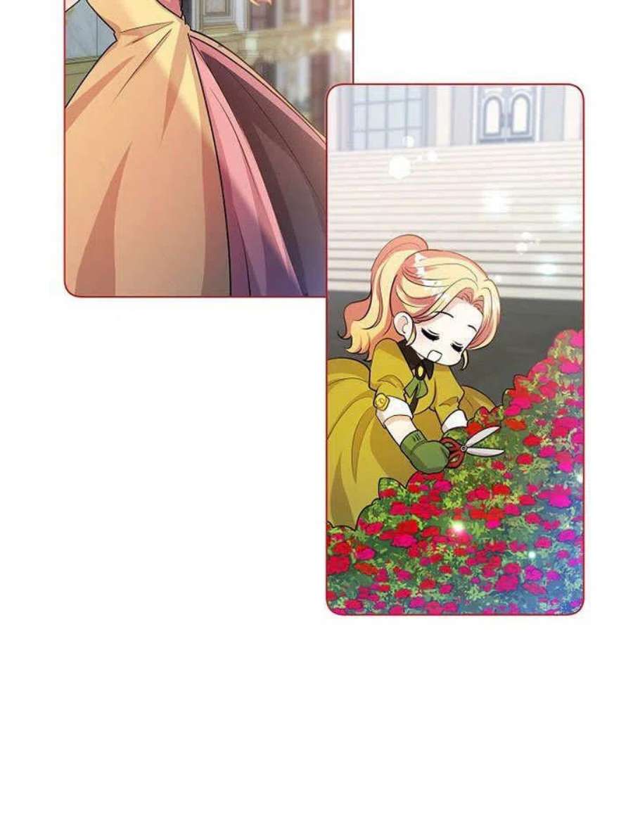 六月的桃子28话