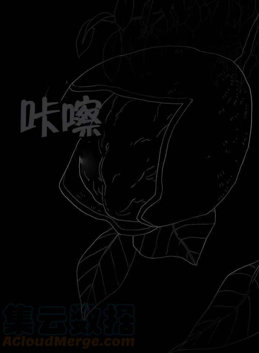 六月的桃子30话