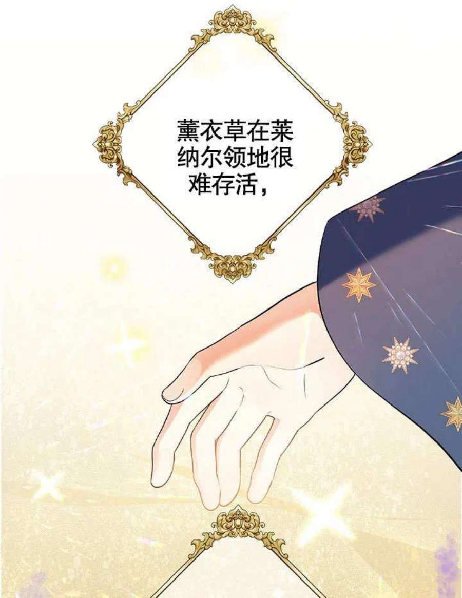 六月的桃子32话
