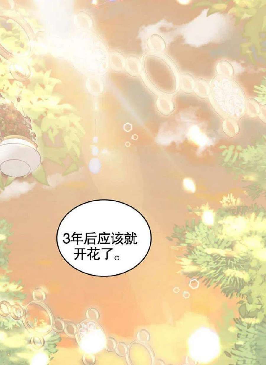 六月的桃子32话