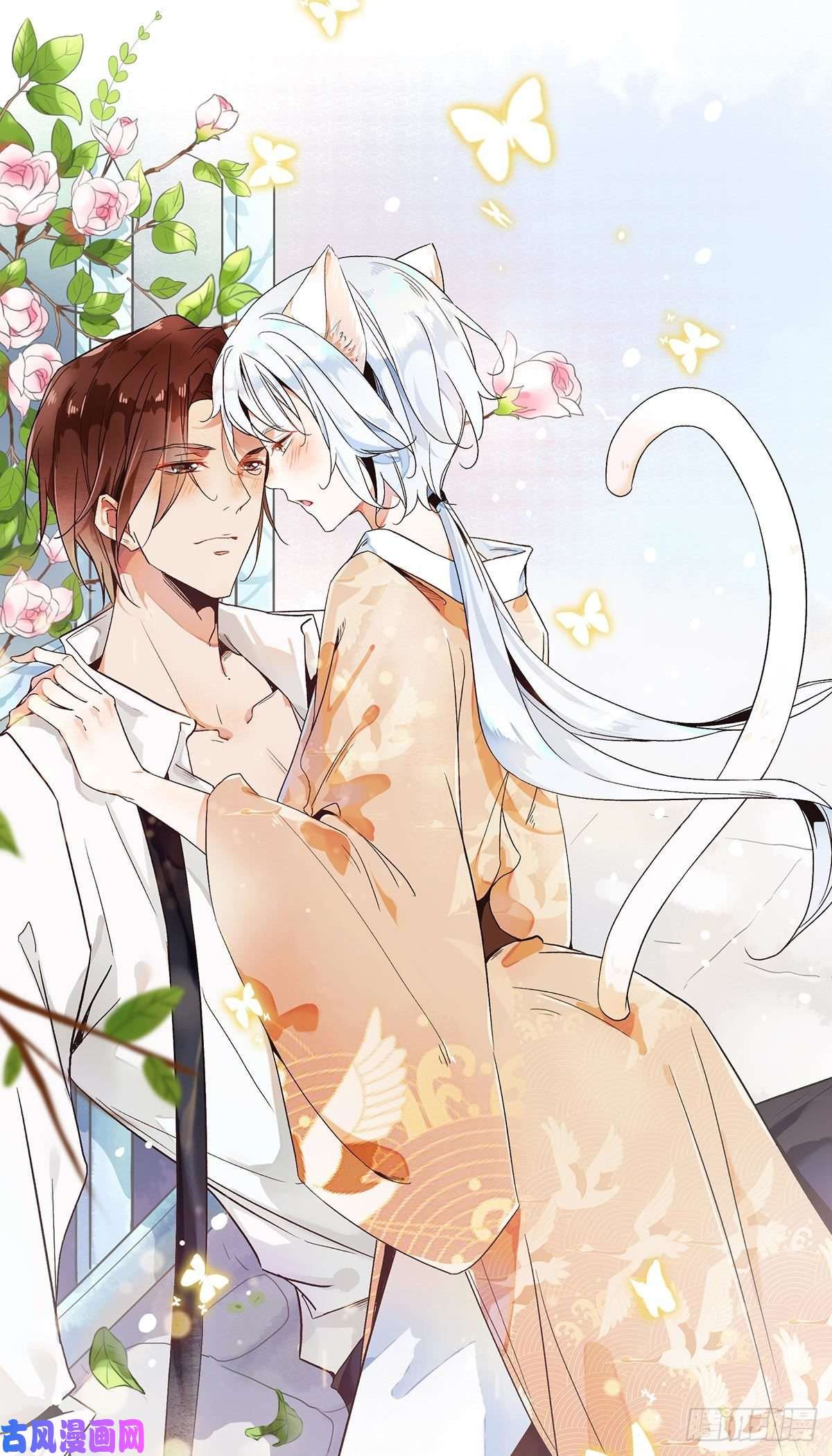 上仙，缺猫否？上线预告