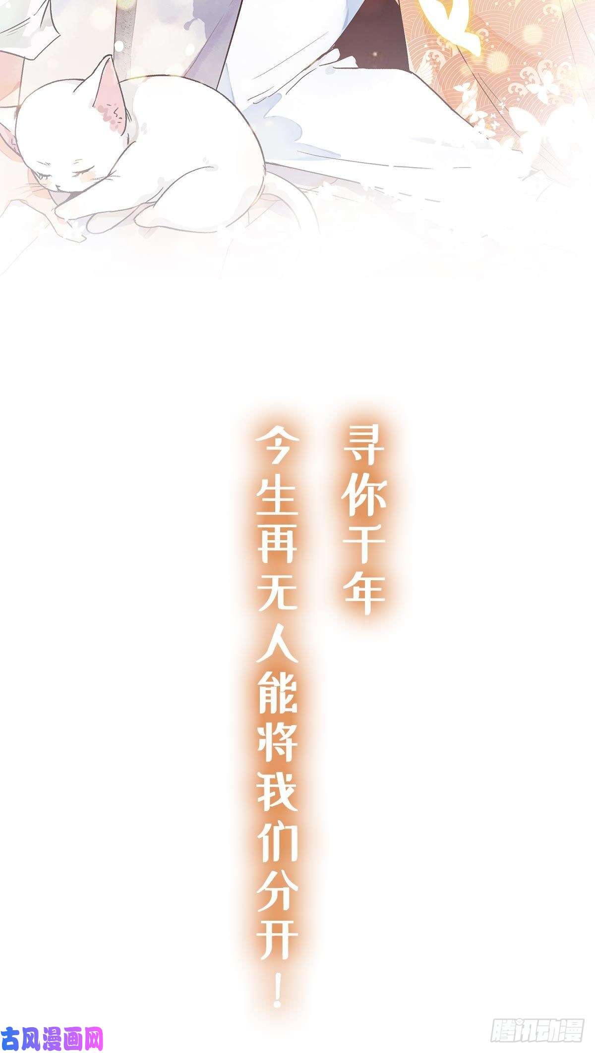 上仙，缺猫否？上线预告