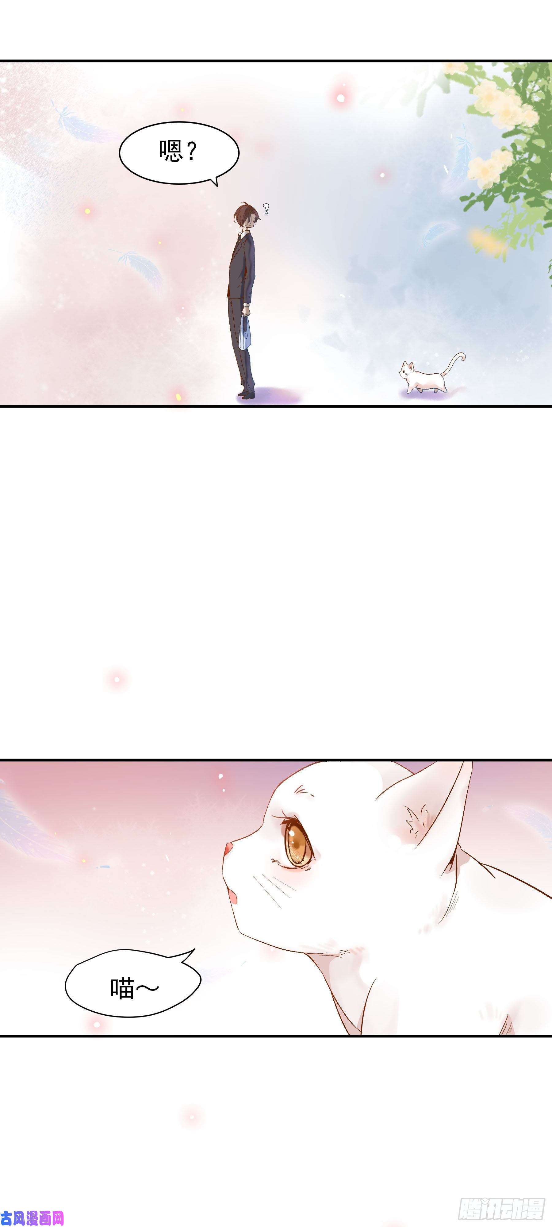 上仙，缺猫否？我抓到你了