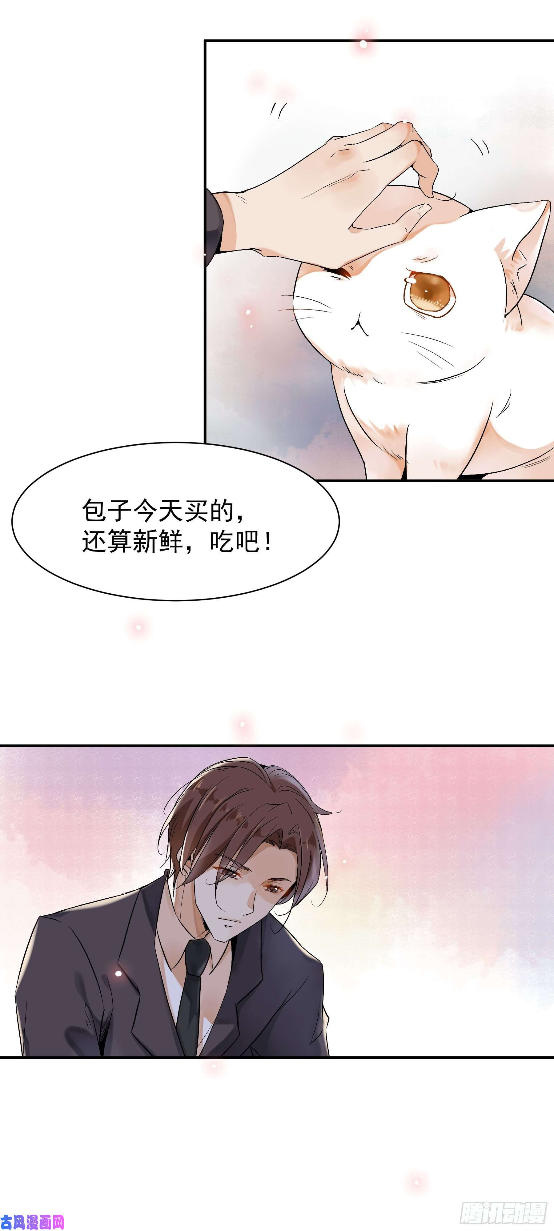 上仙，缺猫否？我抓到你了