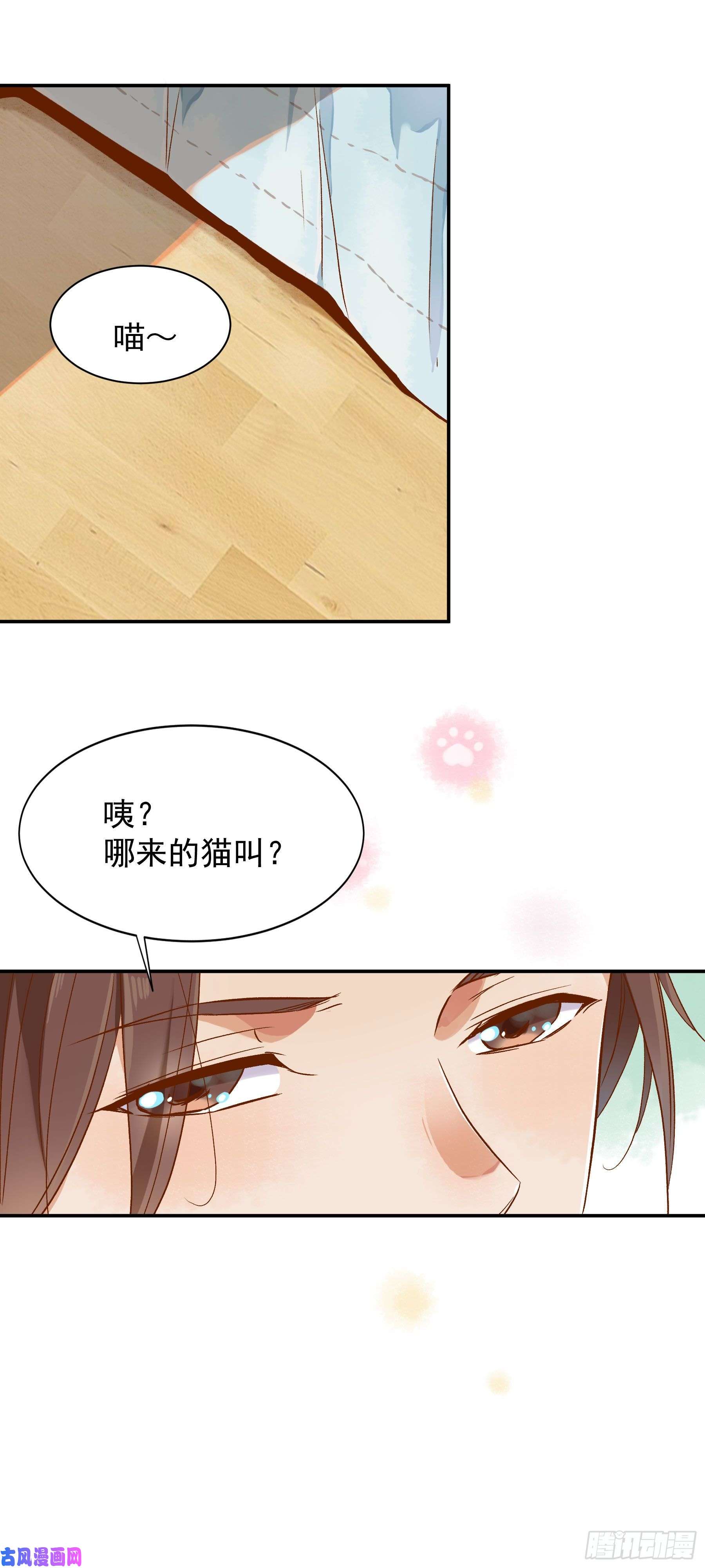 上仙，缺猫否？我抓到你了