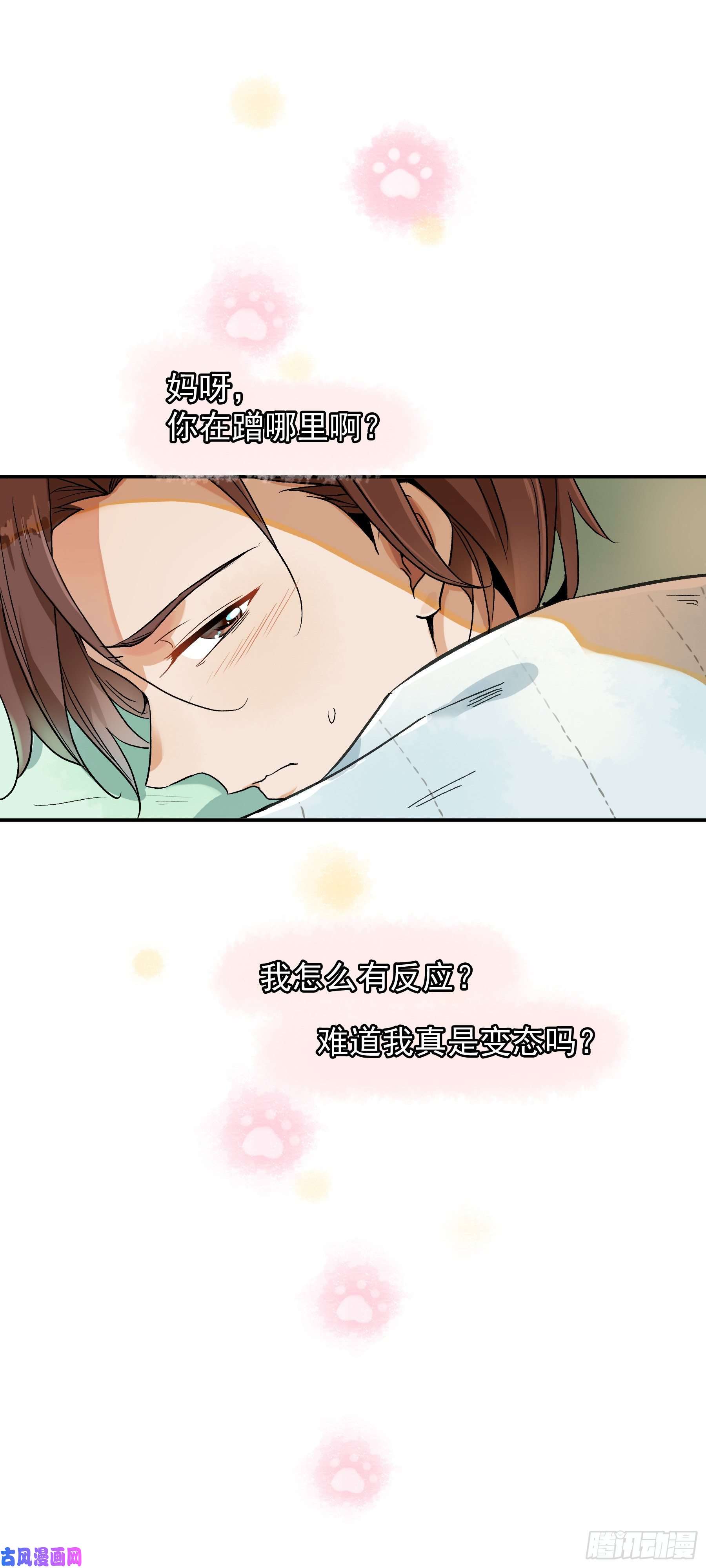 上仙，缺猫否？被猫碰瓷了