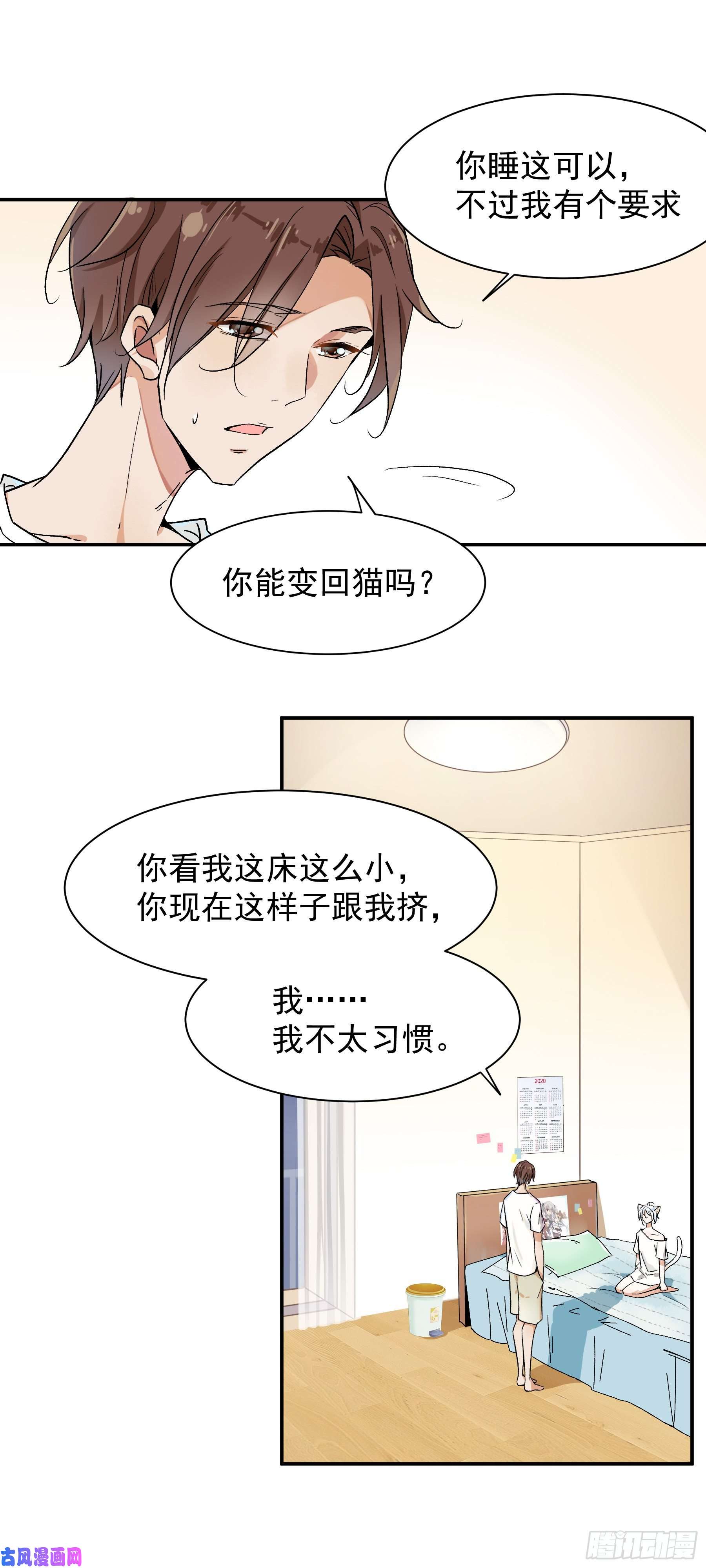 上仙，缺猫否？被猫碰瓷了