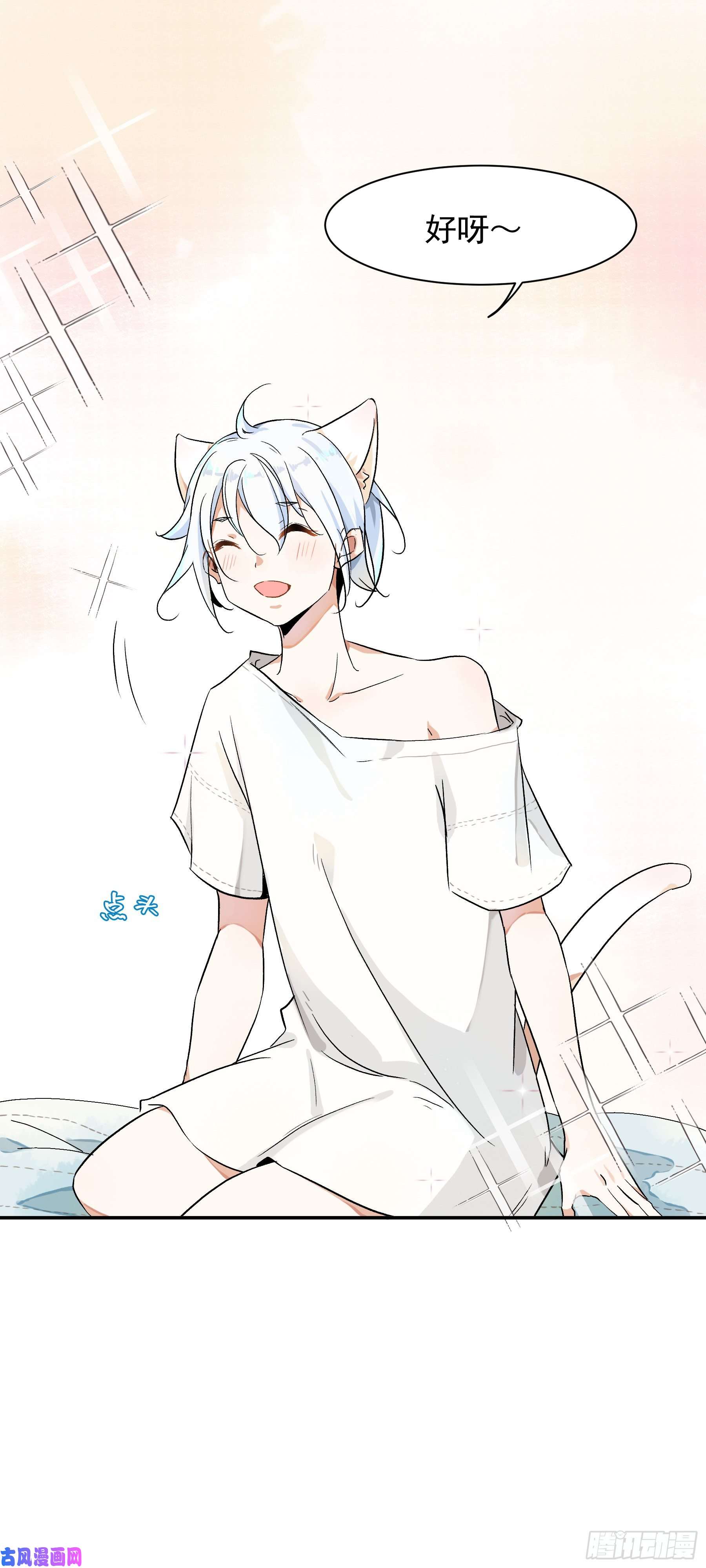 上仙，缺猫否？被猫碰瓷了