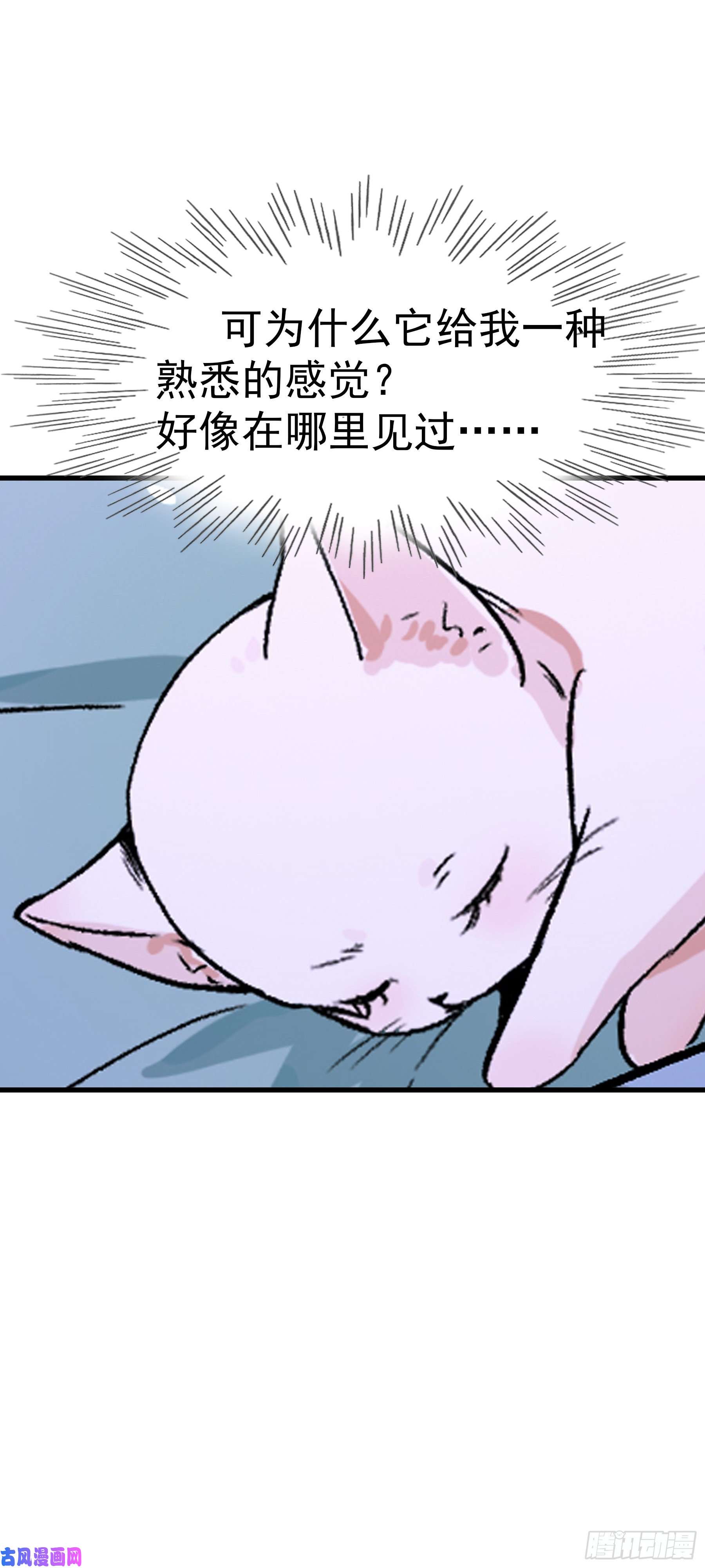 上仙，缺猫否？被猫碰瓷了