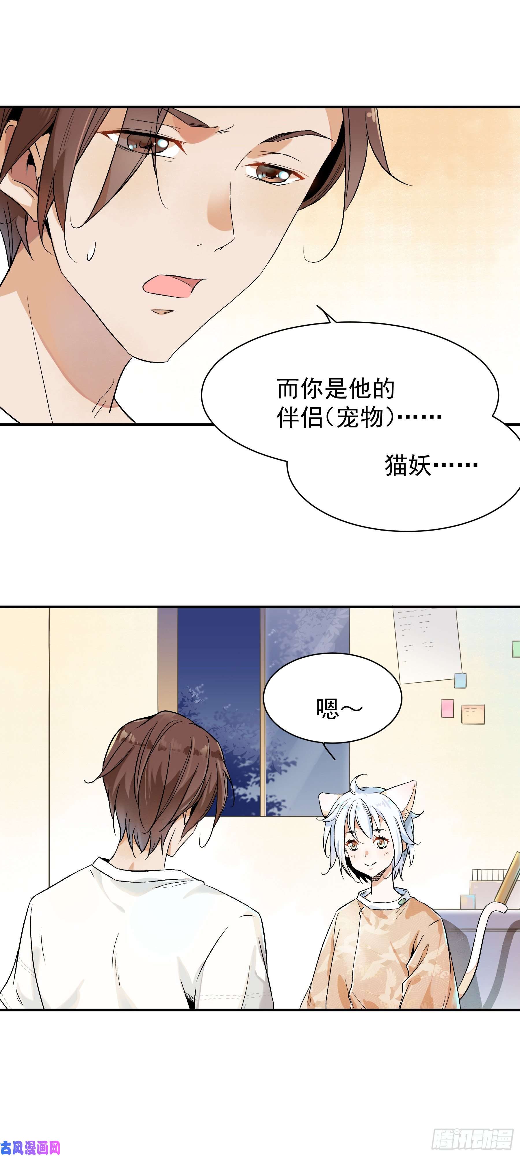 上仙，缺猫否？被猫碰瓷了