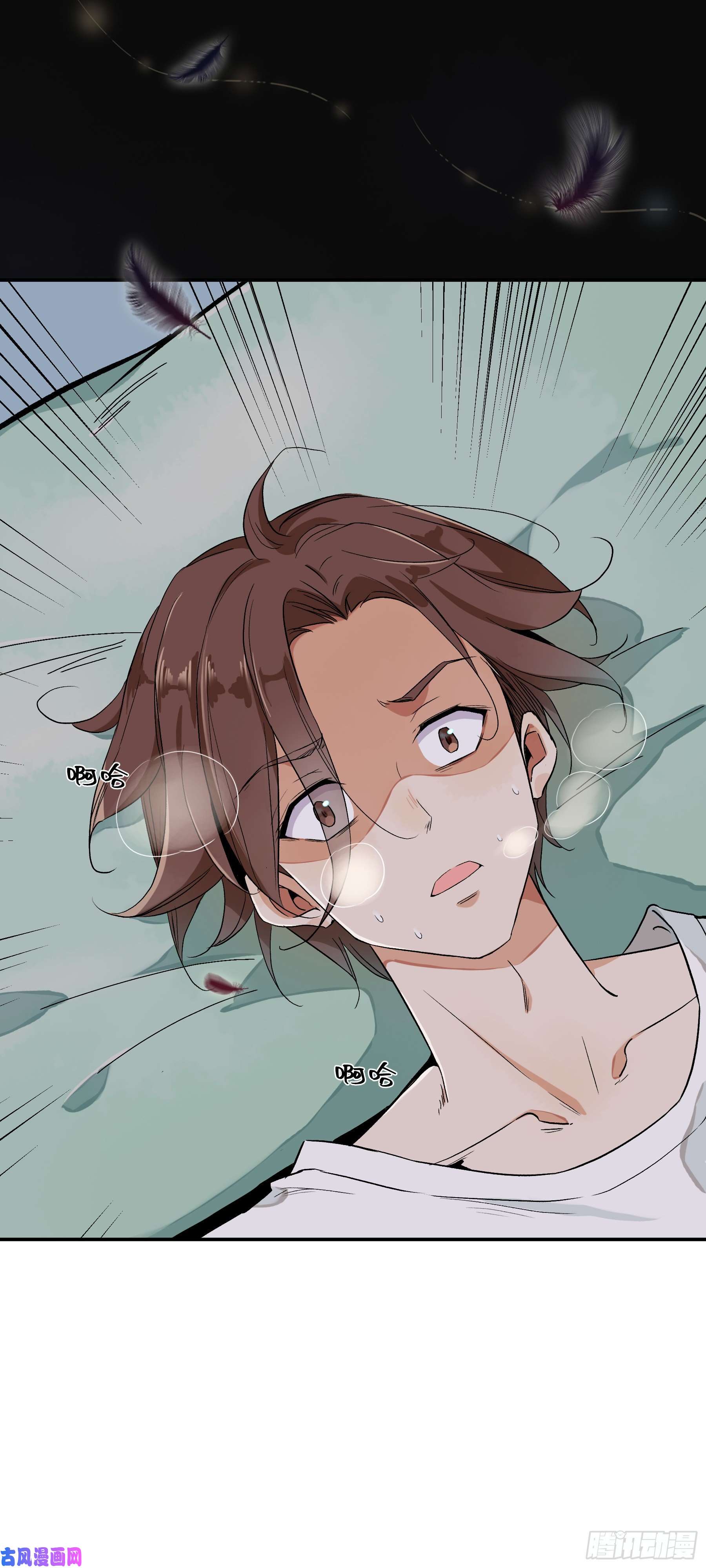 上仙，缺猫否？梦话