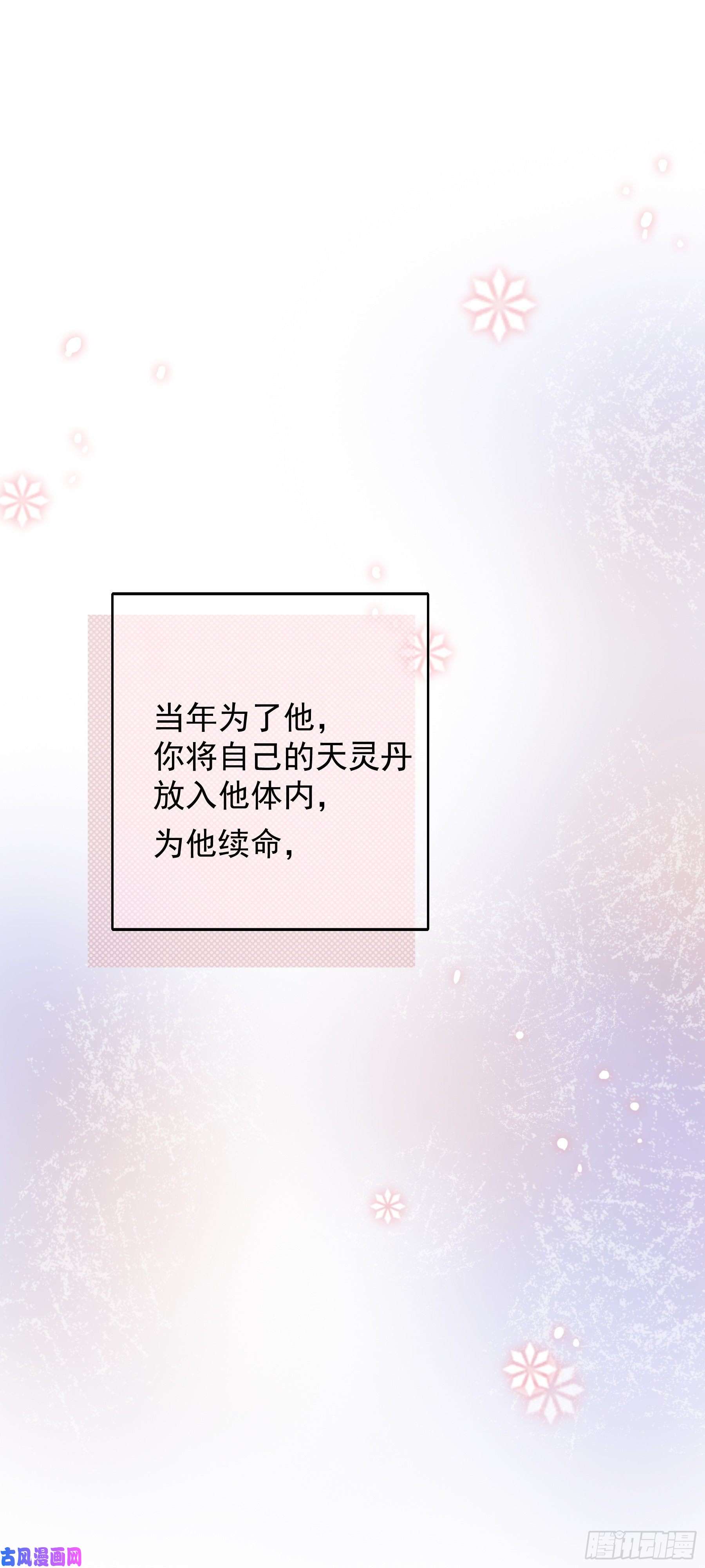 上仙，缺猫否？终于找到你了