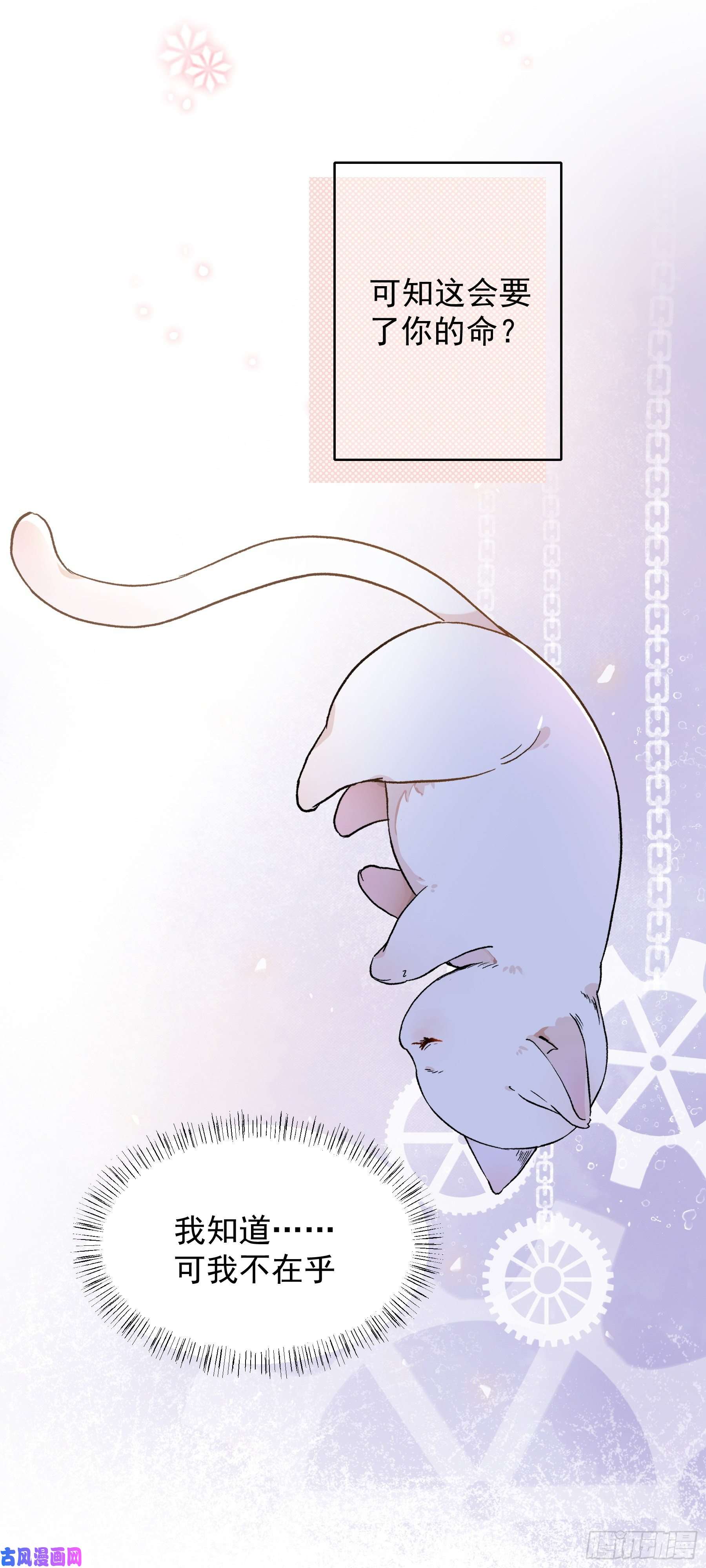 上仙，缺猫否？终于找到你了