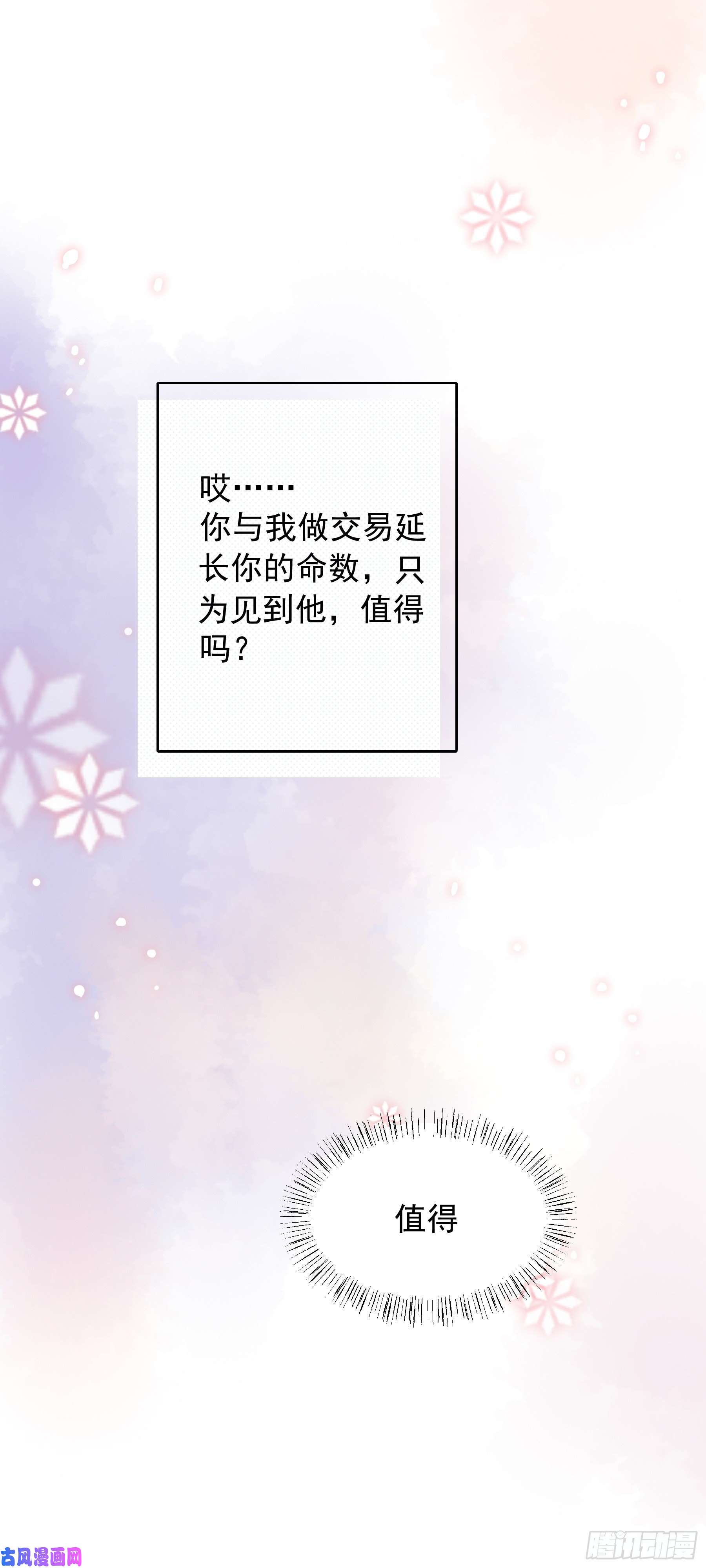 上仙，缺猫否？终于找到你了