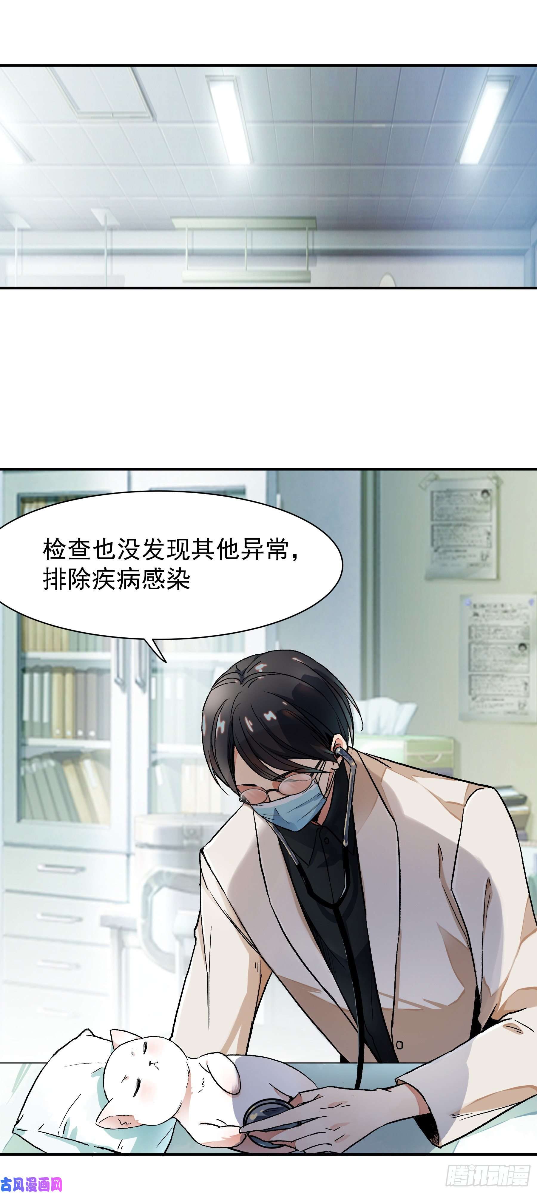 上仙，缺猫否？终于找到你了